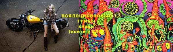 ешки Саяногорск