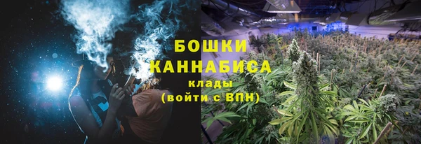 ПСИЛОЦИБИНОВЫЕ ГРИБЫ Абдулино