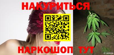 сатива Абинск