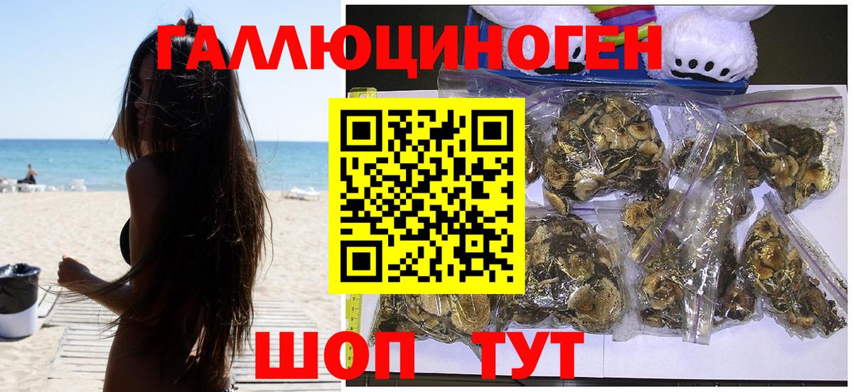 Галлюциногенные грибы прущие грибы Абинск