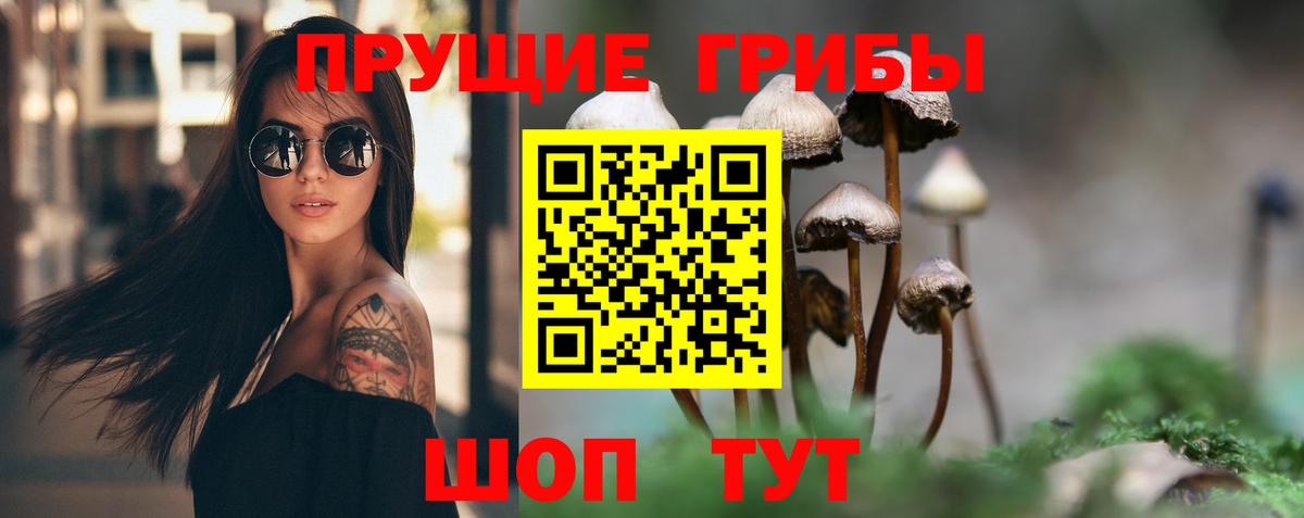 купить закладку  Галлюциногенные грибы мухоморы  Вход с VPN  Абинск 