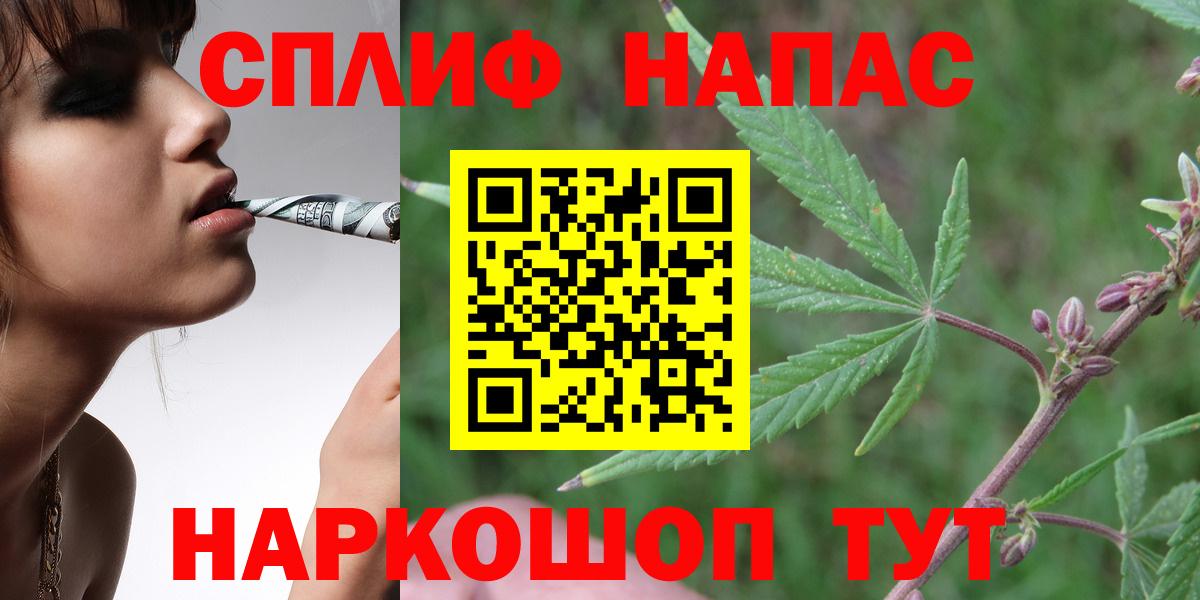 Конопля сатива Абинск